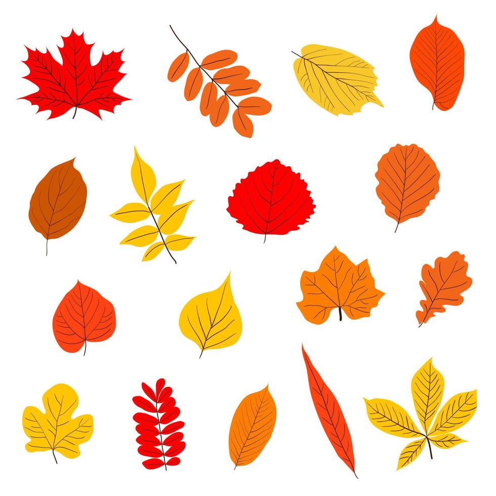 un conjunto de hojas de otoño. vector