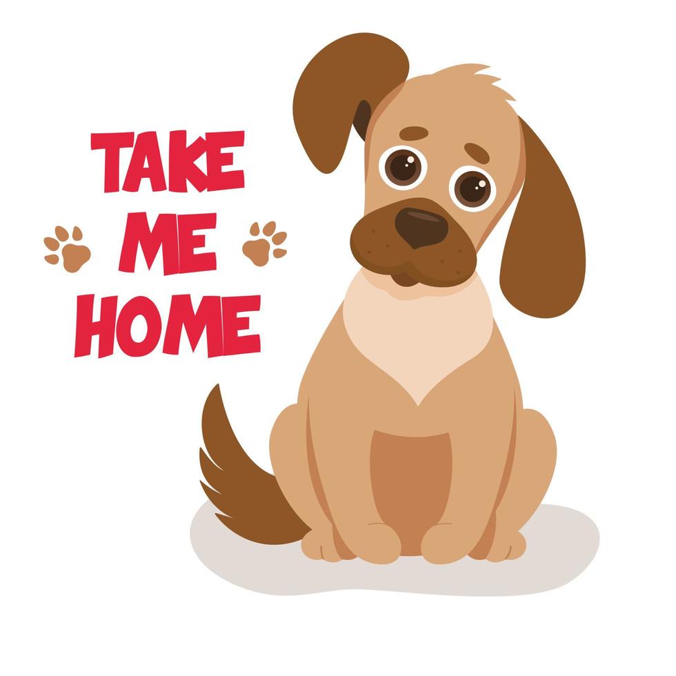 Take the dog from the shelter vector