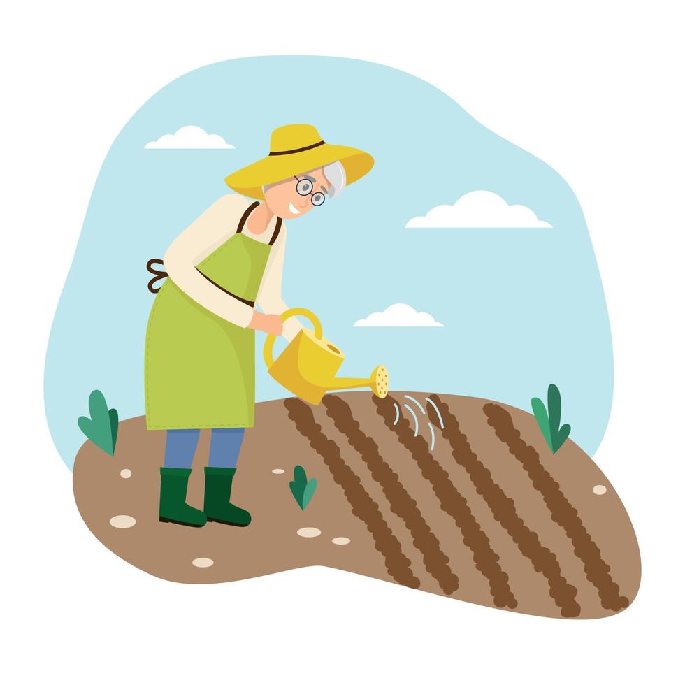 Elderly woman is watering a vegetable garden vector