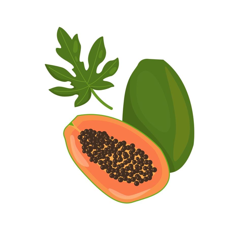 papaya entera con mitad y hoja aislada en fondo blanco vector