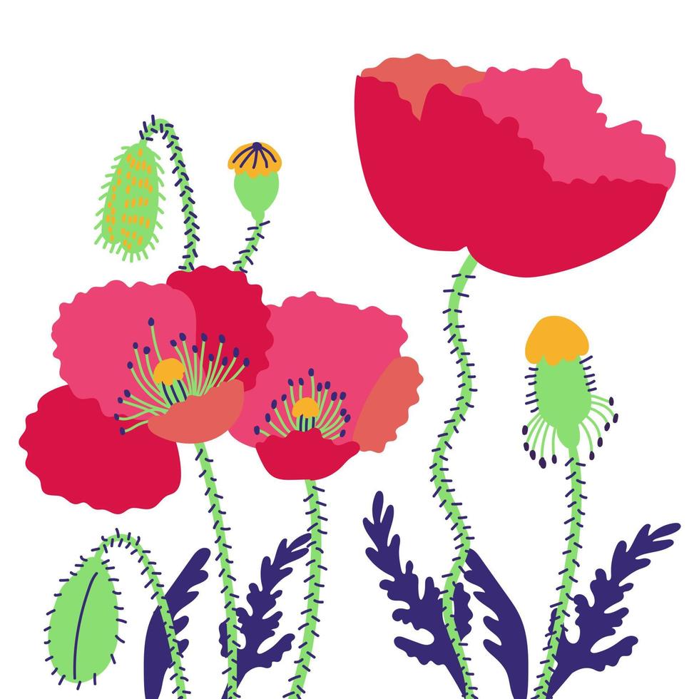 arreglo floral de amapolas. flores de verano brillantes de campo con capullos vector