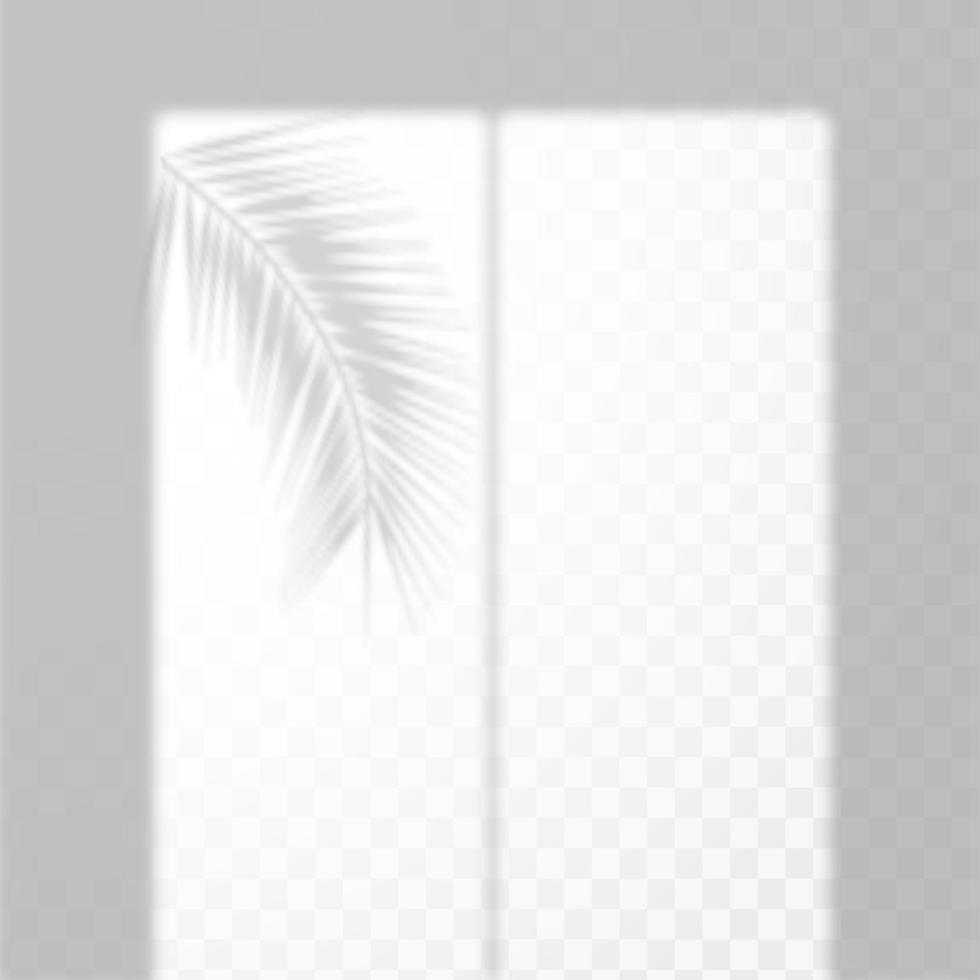 Realistic shadow of tropical leaves or branches on transparent checkered background. The effect of overlaying shadows. Natural light layout. vector
