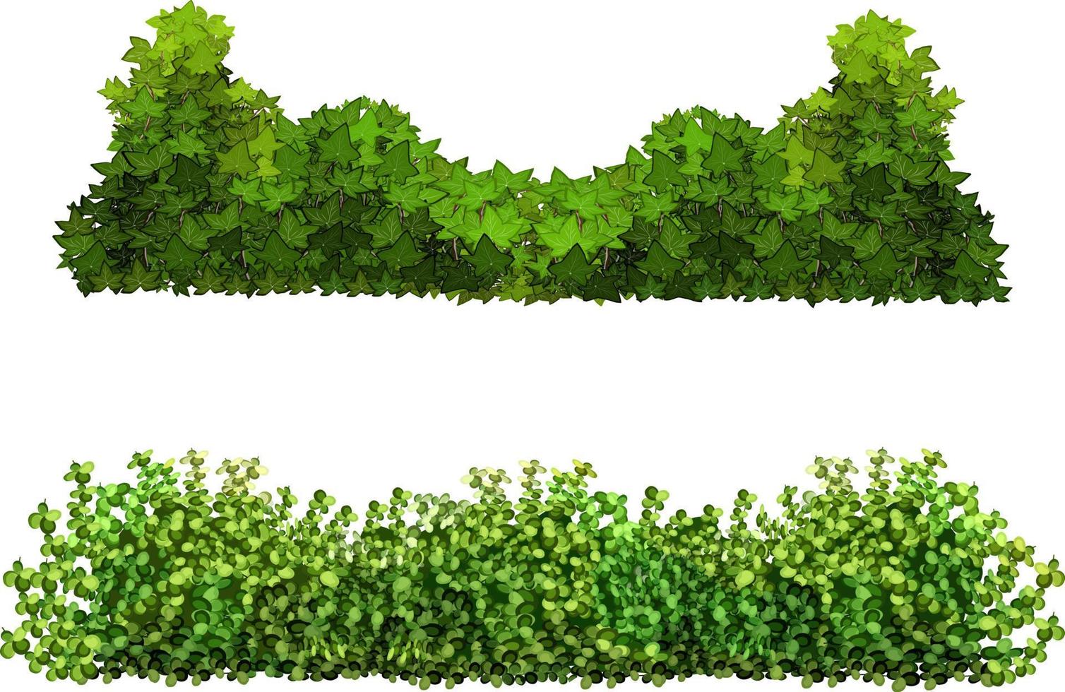 ilustración vectorial de arbustos verdes. vector