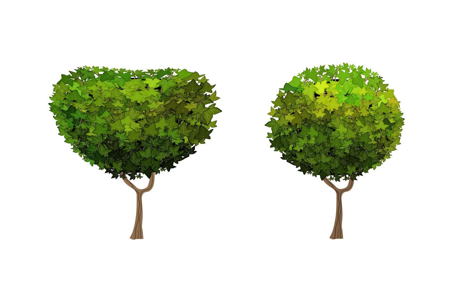 Vector illustration of green bushes.