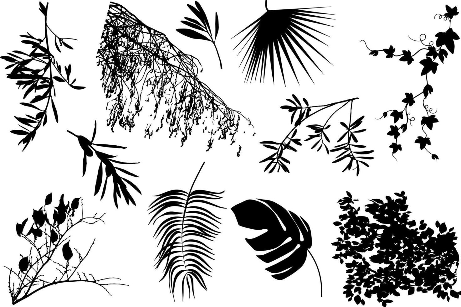 silueta monocromática de hojas, ramas y flores. vector