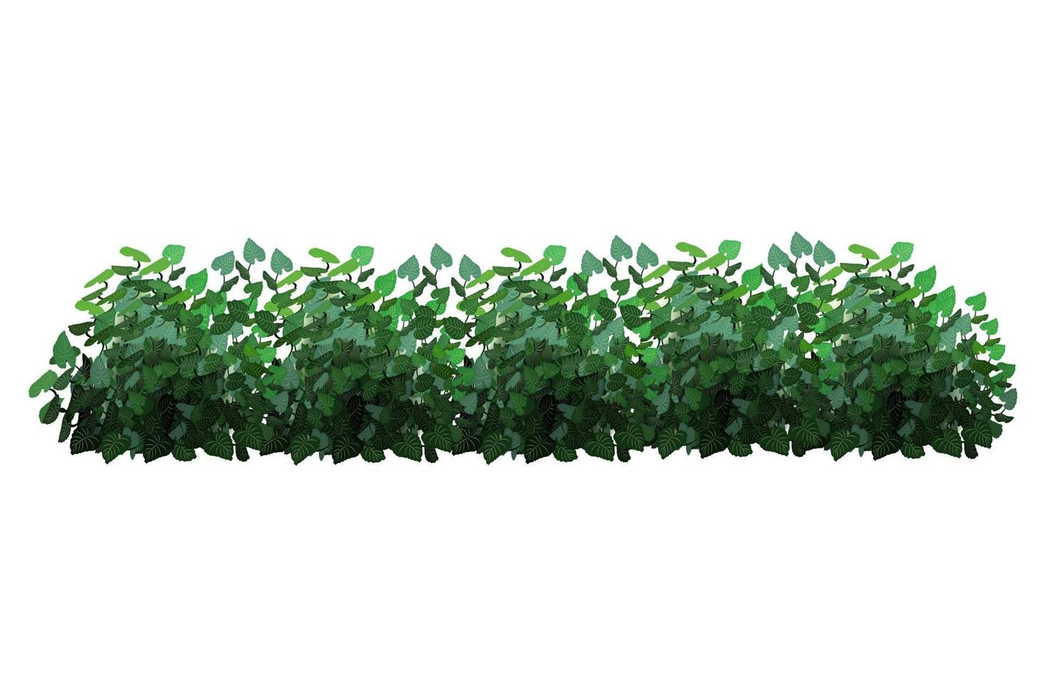 ilustración vectorial de arbustos verdes. vector