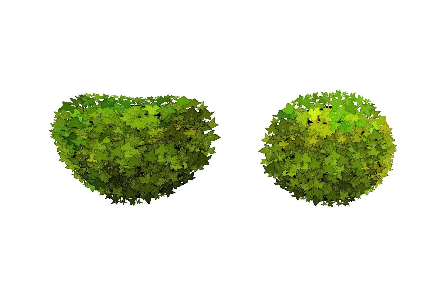 Vector illustration of green bushes.