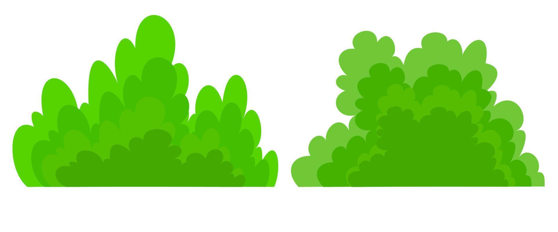 arbusto verde, arbusto de jardín, vector de dibujo de arbusto