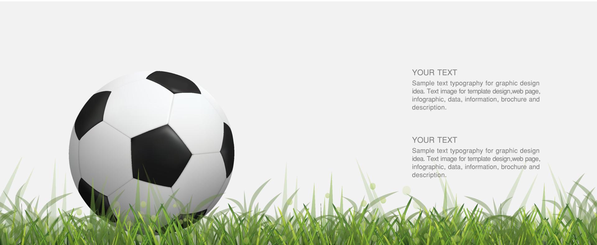 Soccer football ball on green grass field and light blurred bokeh background. Vector. vector