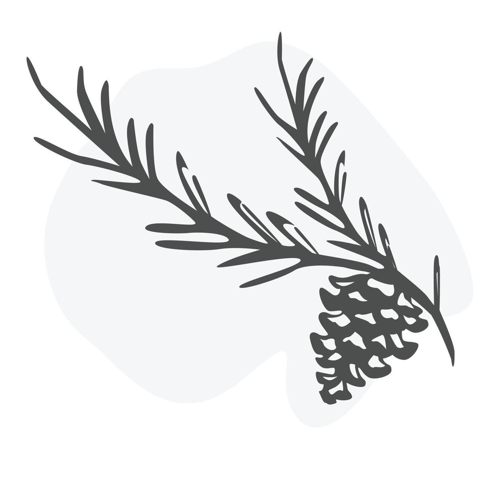 pine tree branch vector sketch illustration