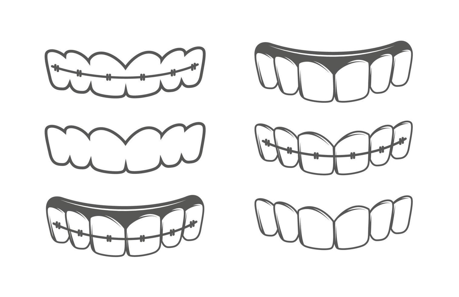 Set of teeth isolated on a white background vector