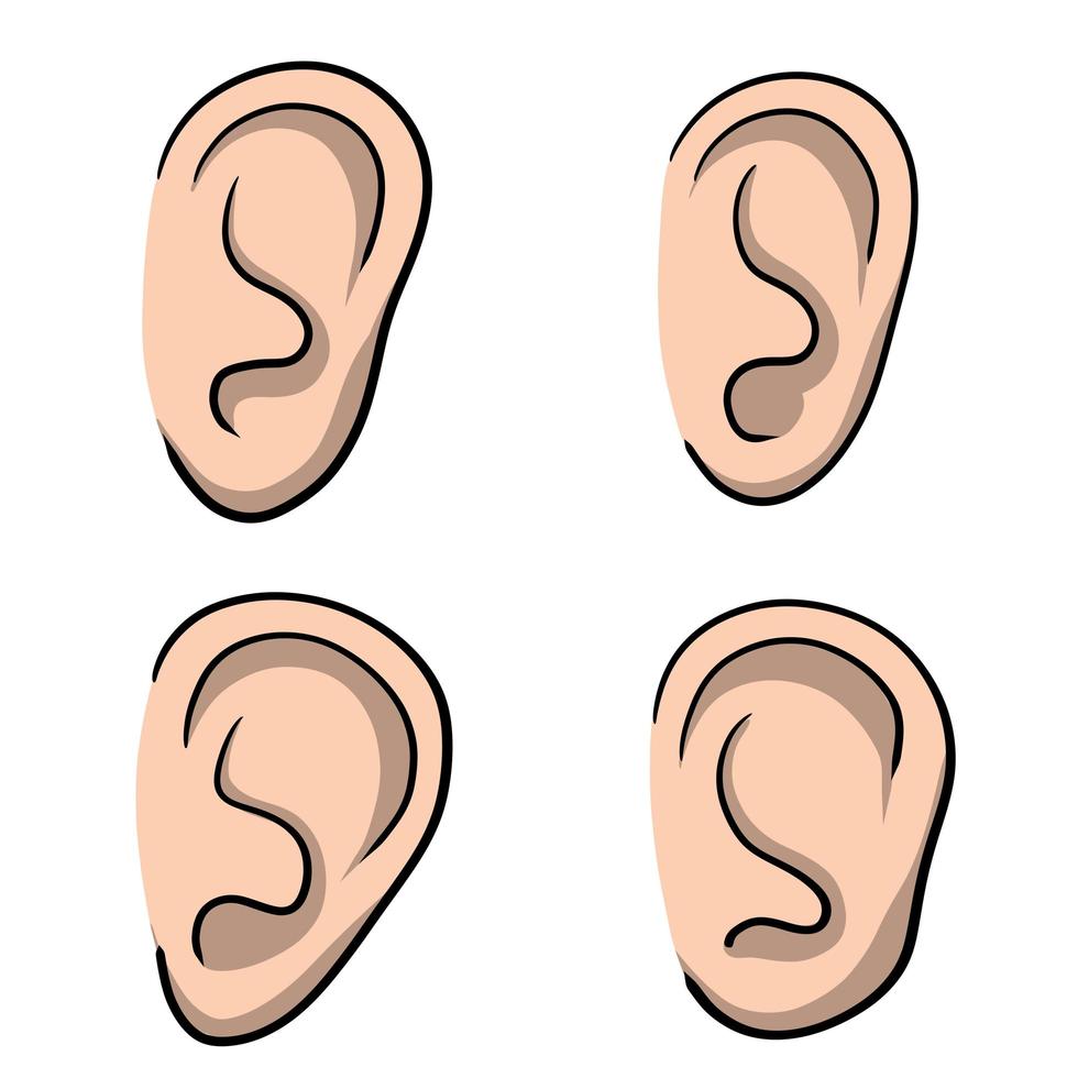 oreja. parte del cuerpo humano. elemento de la cabeza. símbolo de escuchar y escuchar a escondidas. vector