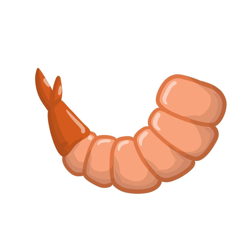 Shrimp. Vector Meat and seafood. Tail of sea animal.