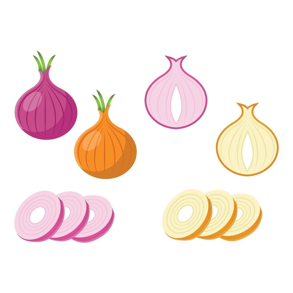 onion flat illustration vector