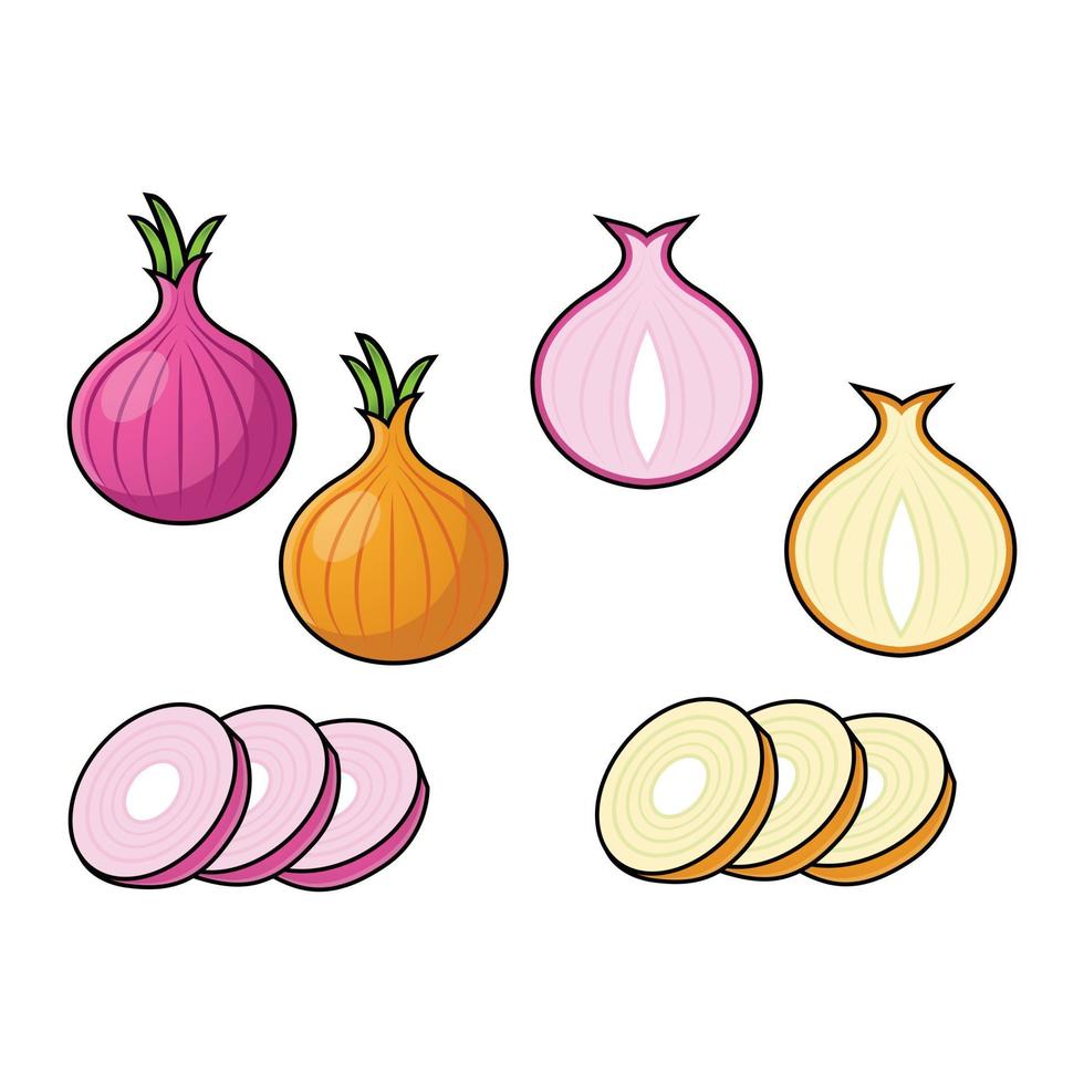 onion set. Cut in half, slice and onion rings. Isolated vector illustration