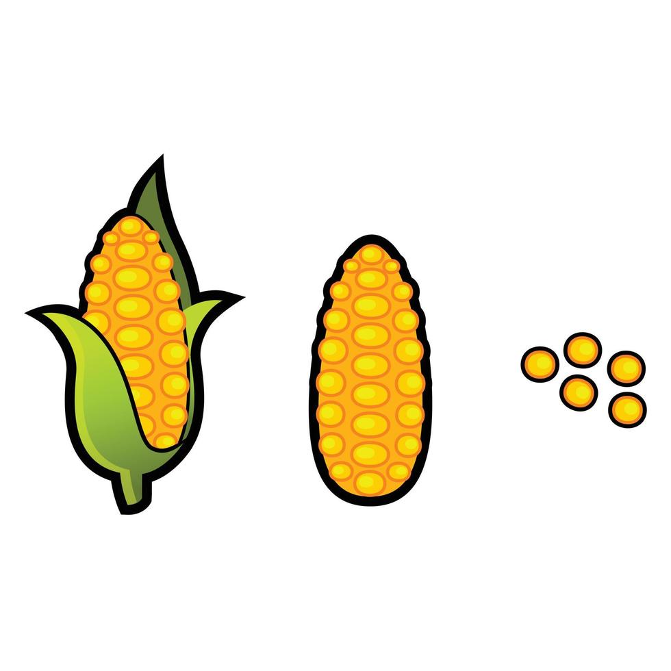 isolated corn on white background, vector illustration