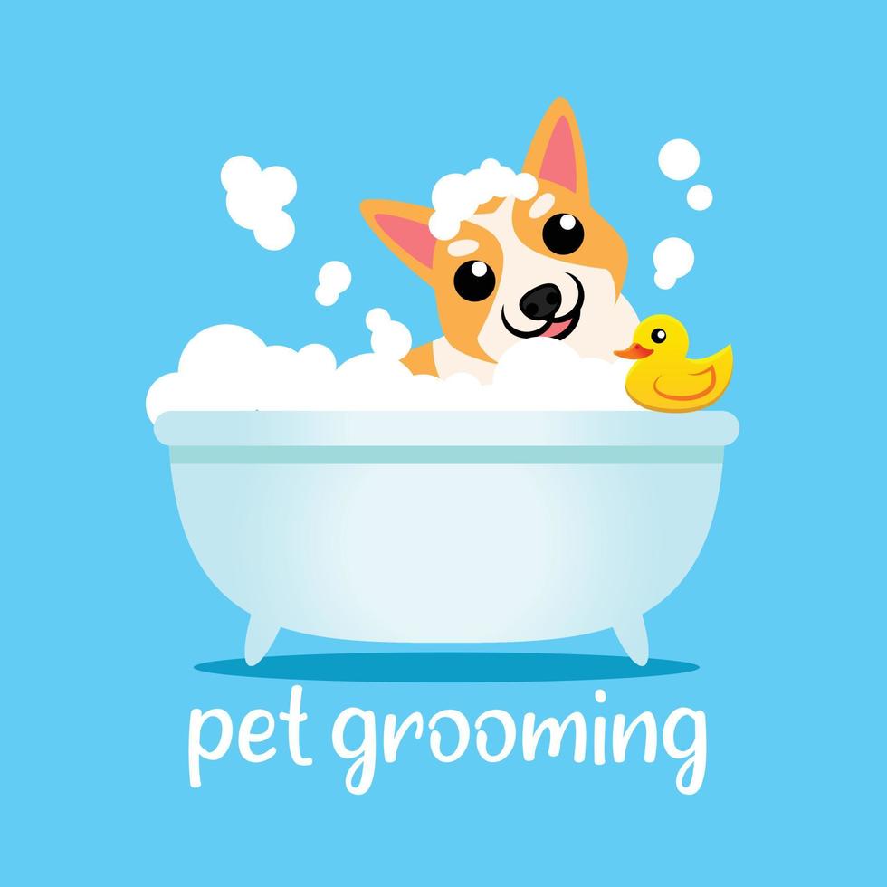 pet grooming cartoon illustration vector
