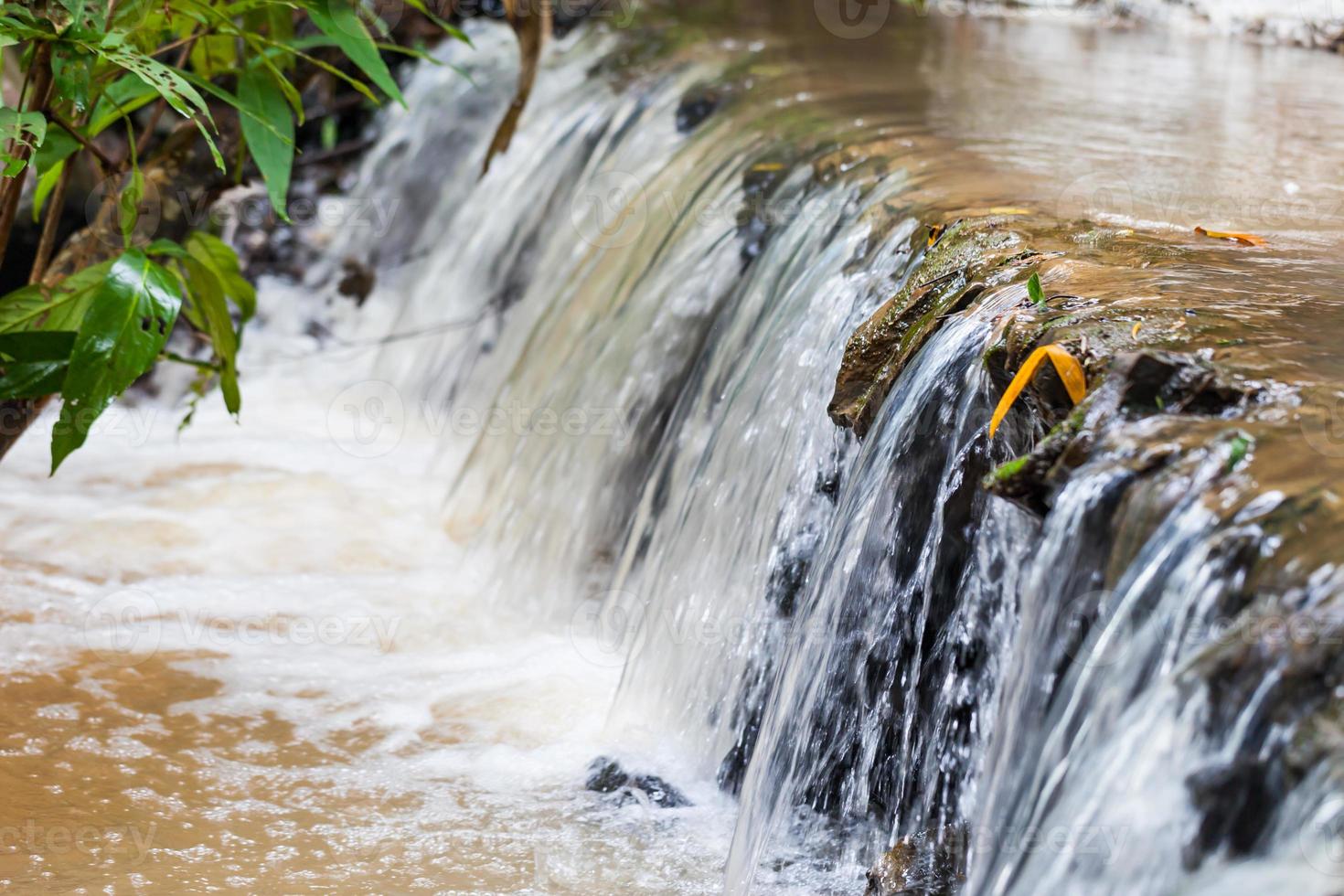 Close up green forest waterfall photo