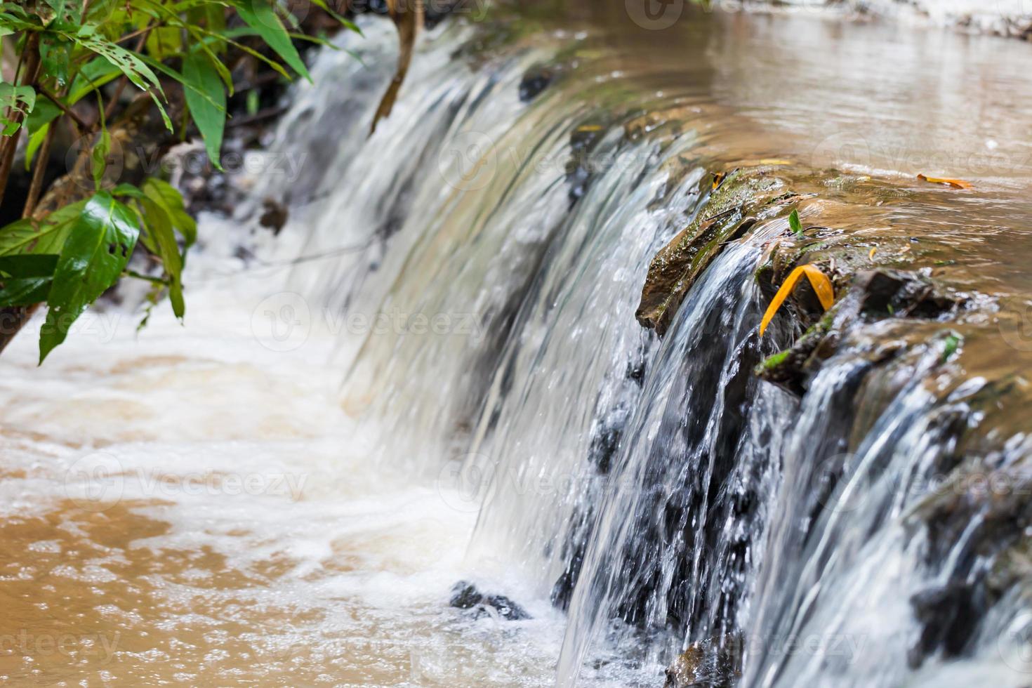 Close up green forest waterfall photo