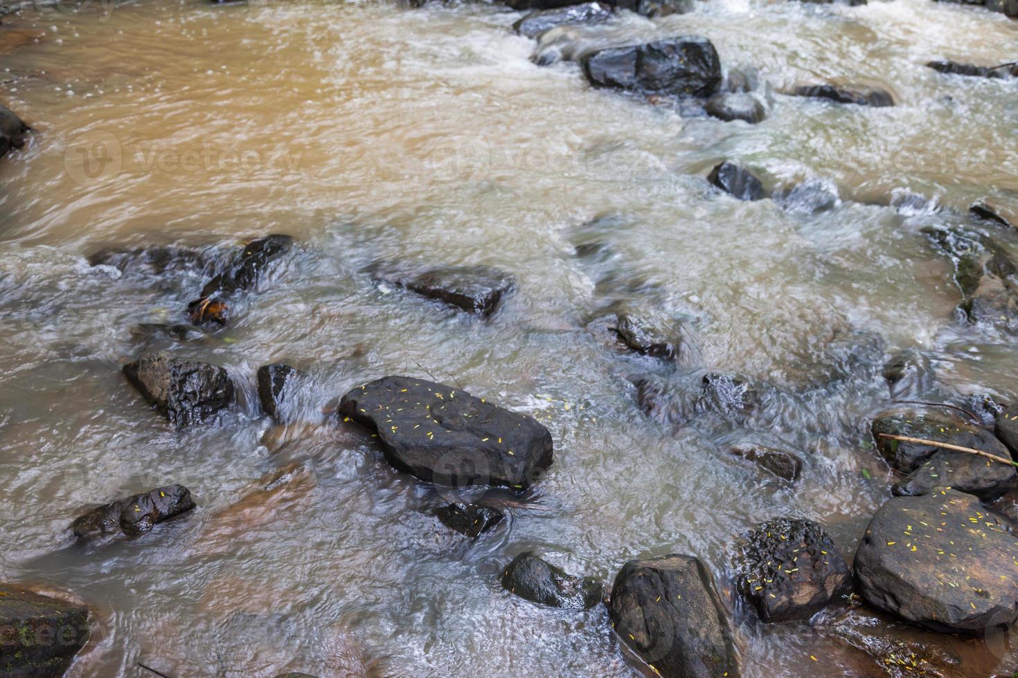 Close up green forest waterfall photo