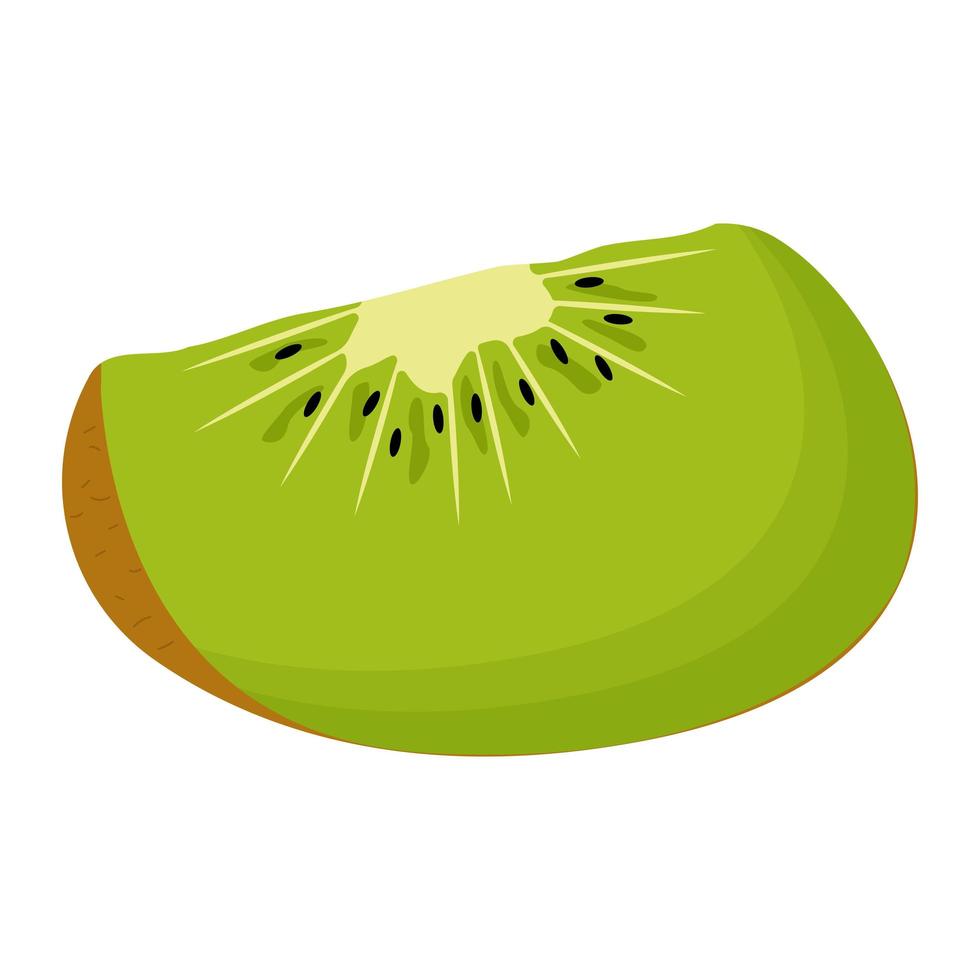 A piece of kiwi isolated on white background. Flat vector illustration