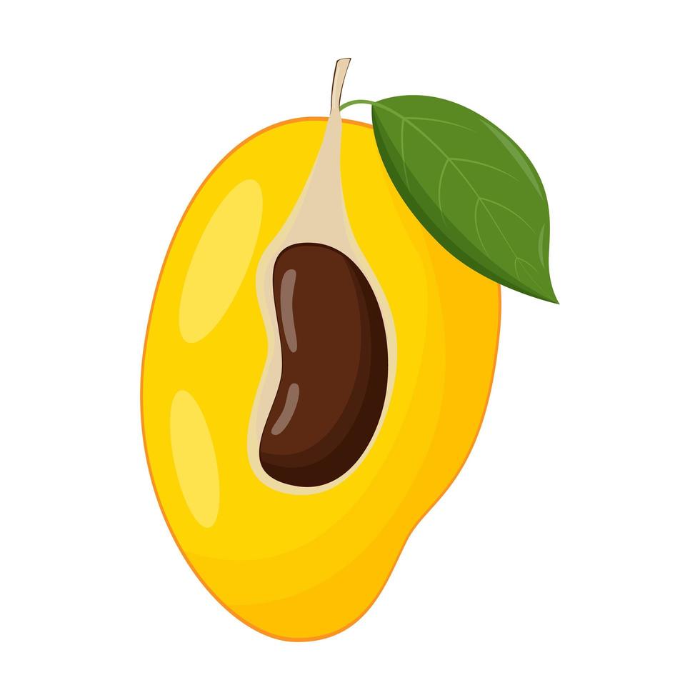 la mitad de mango sobre fondo blanco. ilustración vectorial plana vector