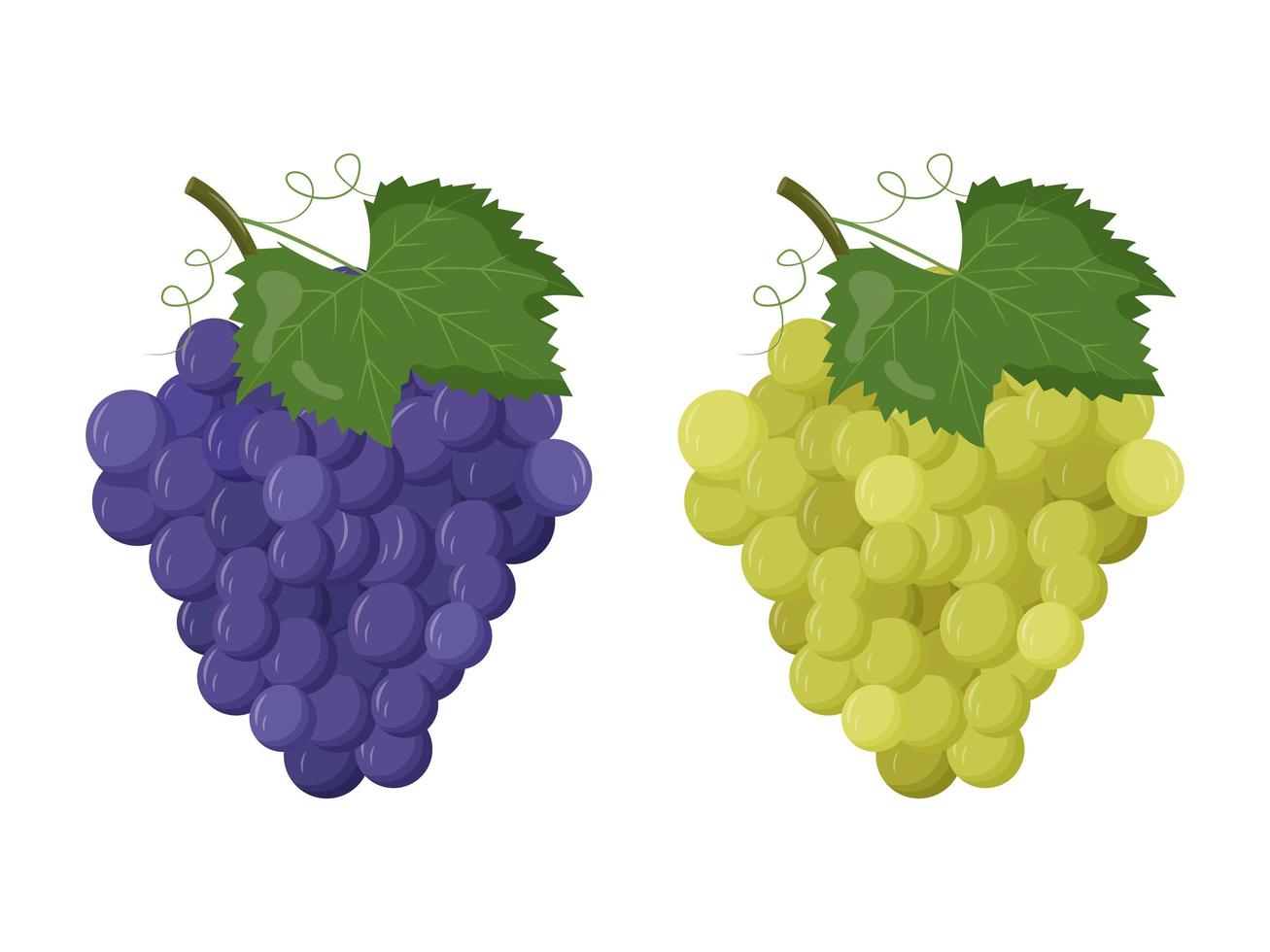 Whole grape with green leaf isolated on white background. Flat vector illustration