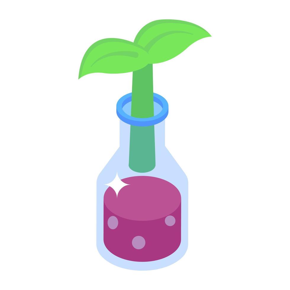 Decorative indoor bottle plant icon in isometric style vector