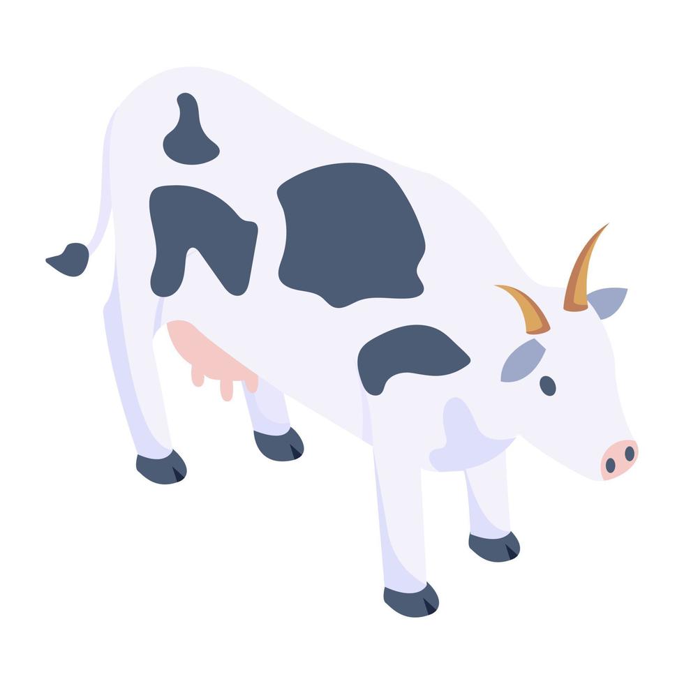 Domestic cow vector in isometric design