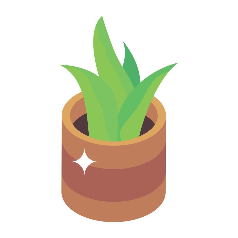 Isometric icon of potted plant, indoor home decor vector