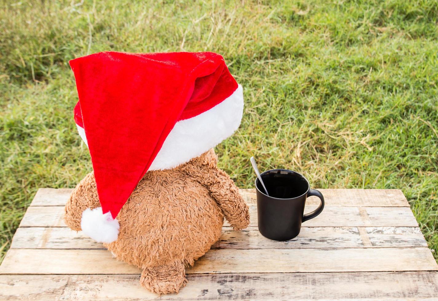 Bear Hat Stock Photos, Images and Backgrounds for Free Download