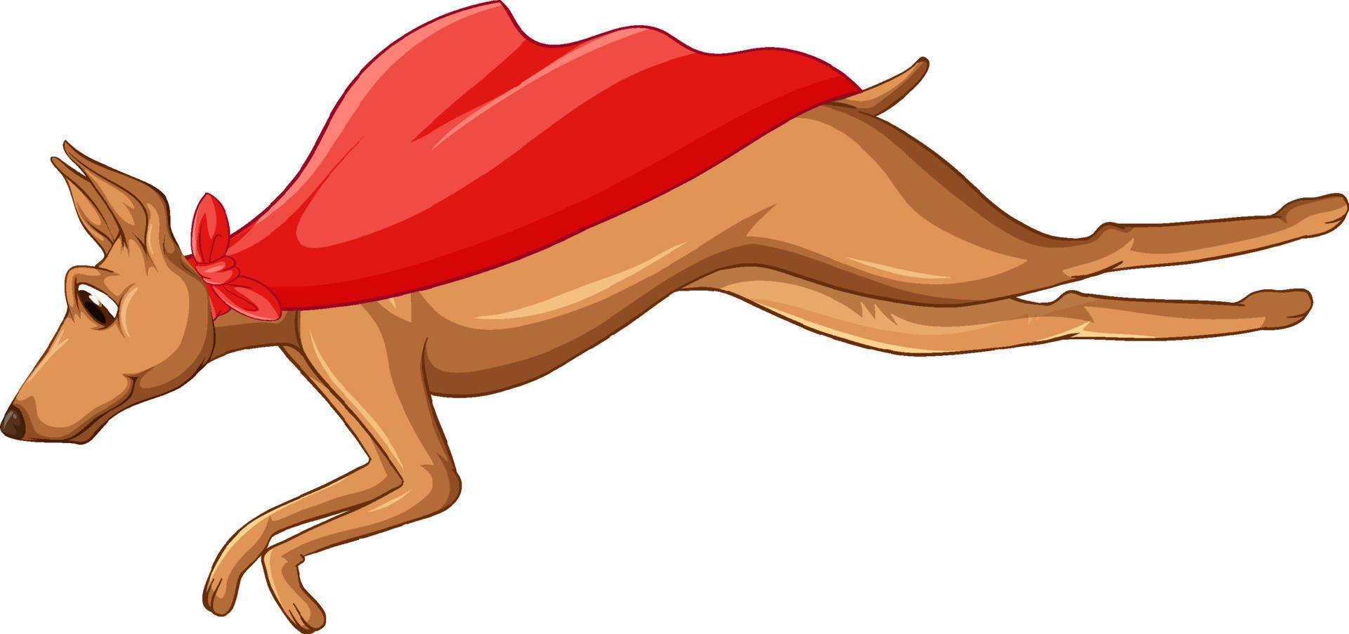 Dog with red cape flying vector