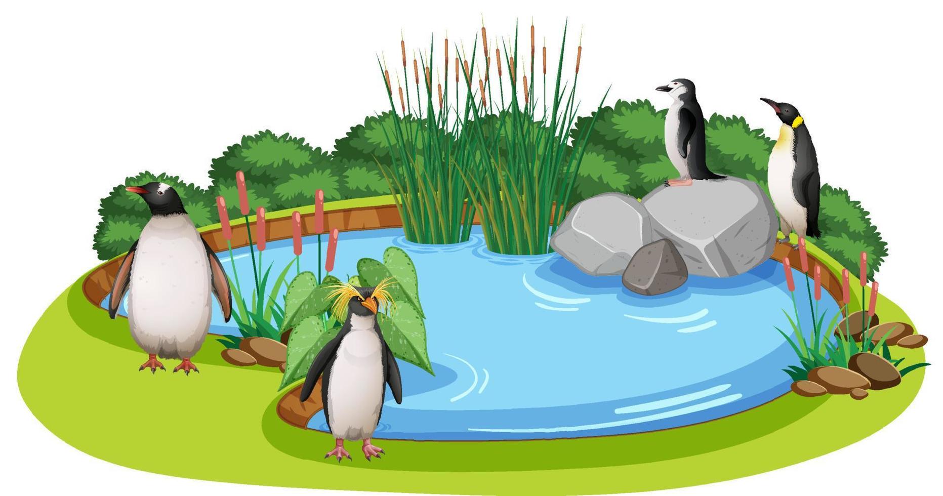 escena con pinguinos alrededor del estanque vector