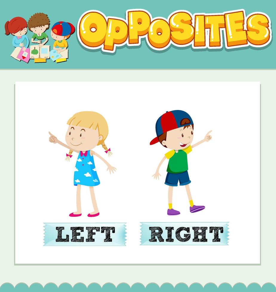 Opposite words for left and right vector