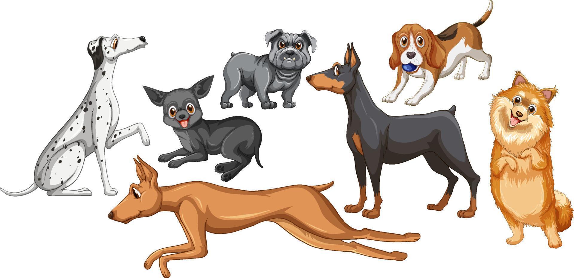 conjunto de diferentes perros lindos en estilo de dibujos animados vector