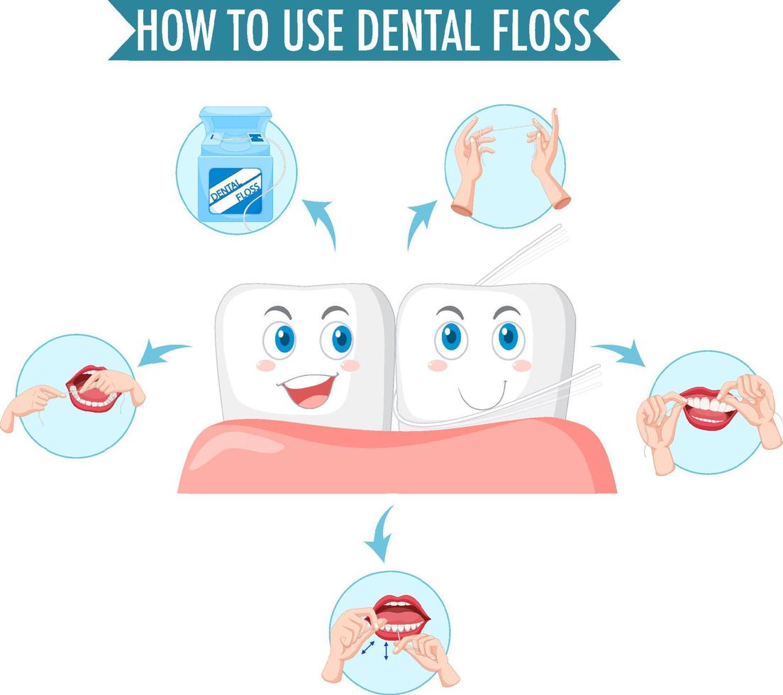 diente limpio y proceso de hilo dental sobre fondo blanco vector