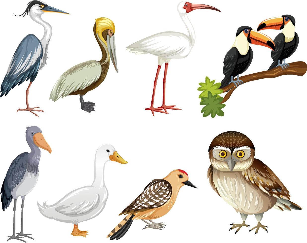 conjunto de personaje de dibujos animados de aves vector