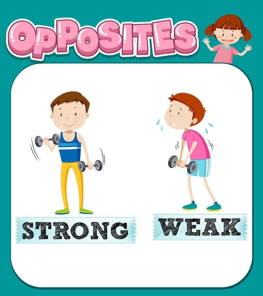 Opposite words for strong and weak vector