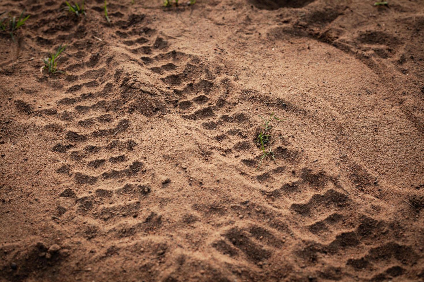 Motorcycle wheel marks on the ground photo