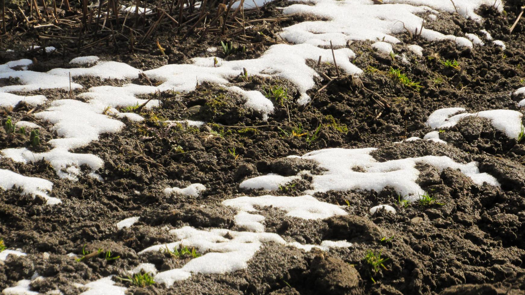 the snow is melting on the ground. Plowed soil. The field is ready for agricultural work. Black soil. Farming field photo