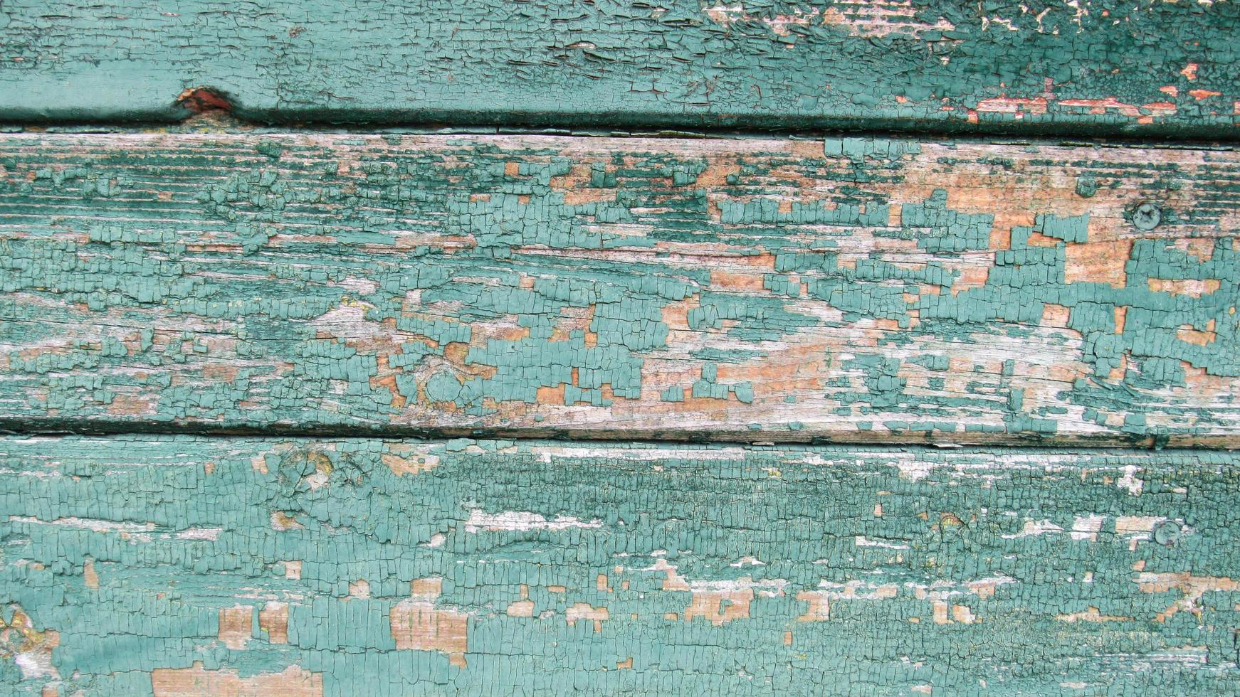 Old wooden board texture for wallpaper or background. Tree background with copy space for text. board with old green paint photo