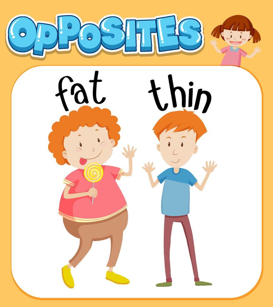 Opposite words for fat and thin vector