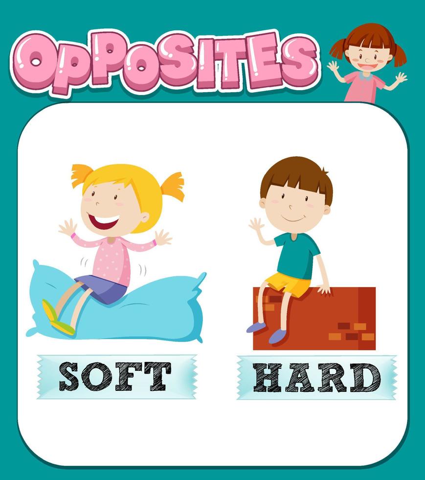 Opposite words for soft and hard vector