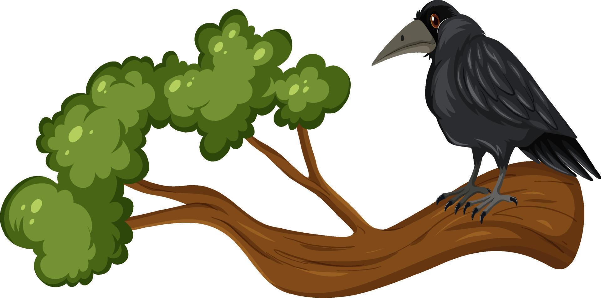 Crow standing on branch vector
