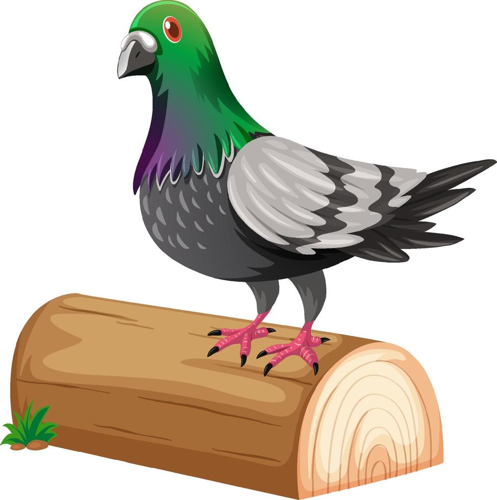 A pigeon standing on a log vector