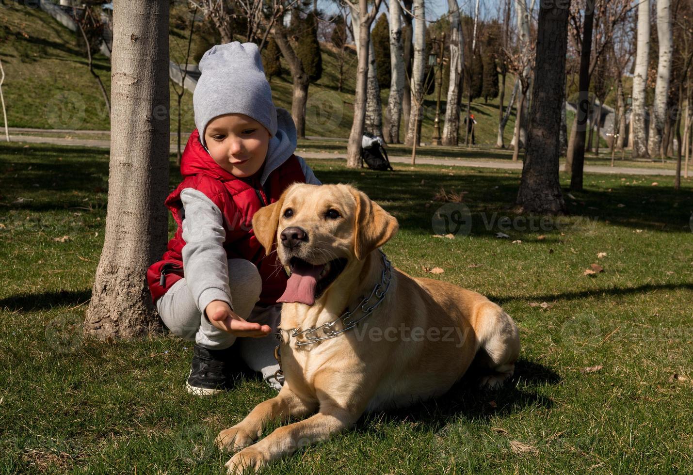 boy walking with a pet photo