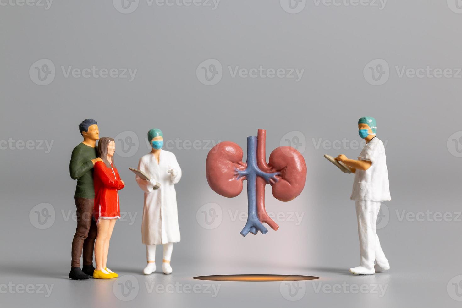 Doctor studying and treating human Kidney  , World Health Day concept photo