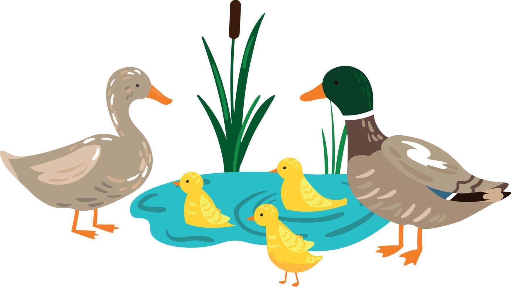 ilustración de la familia de patos con patitos en el estanque vector