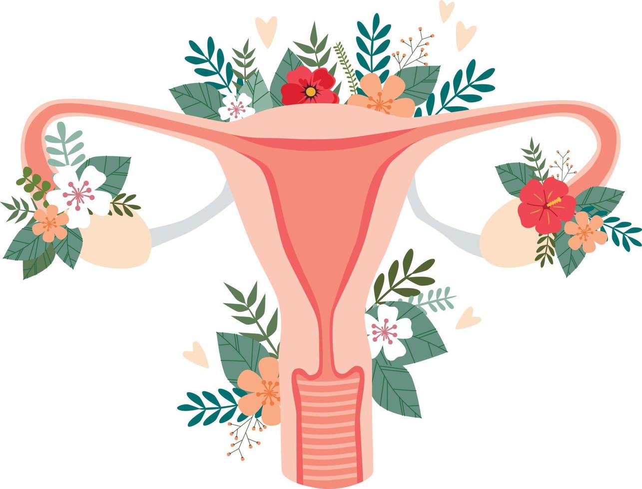 un sistema reproductor femenino con flores. ilustración vectorial vector