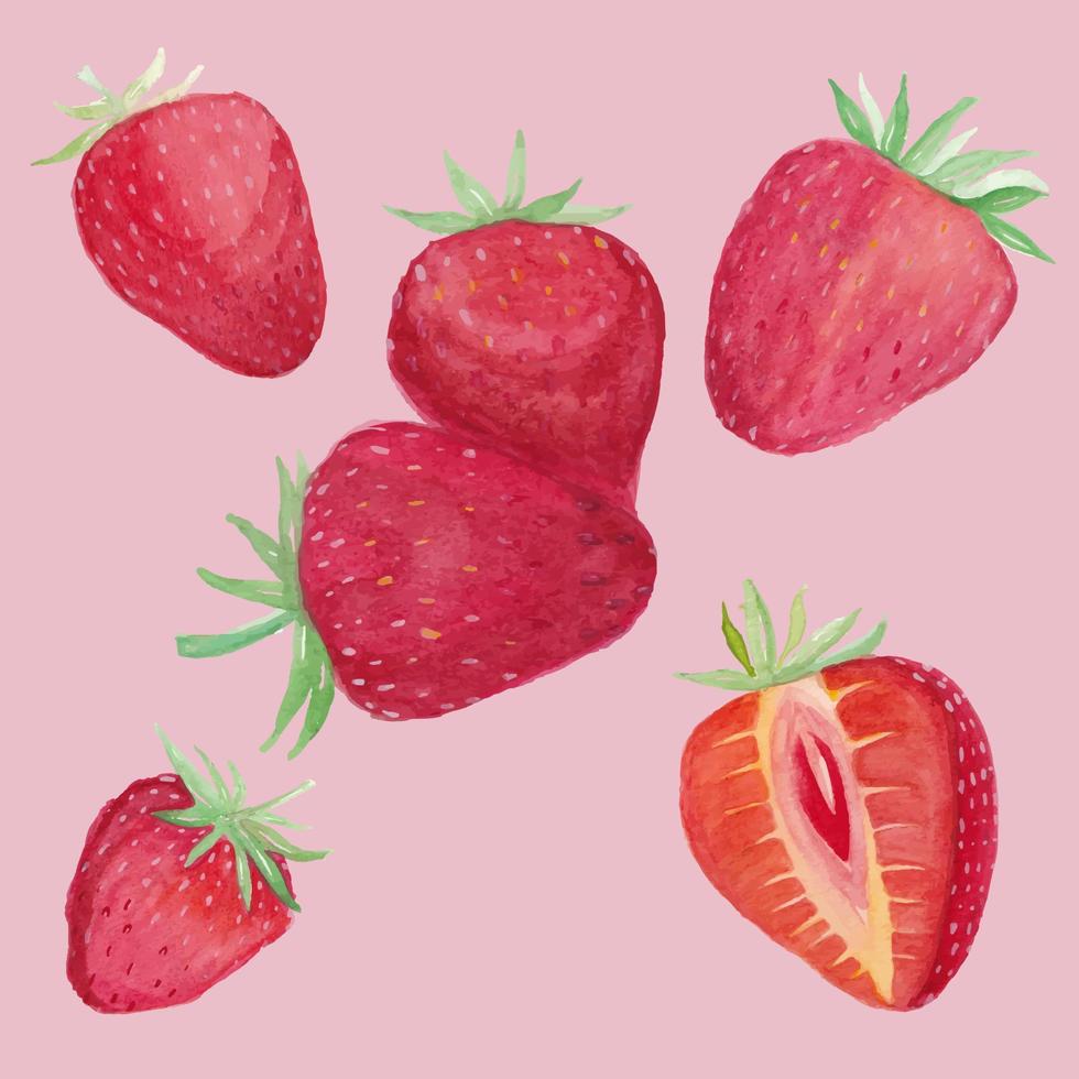 Strawberry watercolor fruit background vector